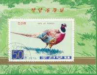 (1976-044) Блок марок  Северная Корея "Фазан с кольцевой шеей "   Фазаны III Θ